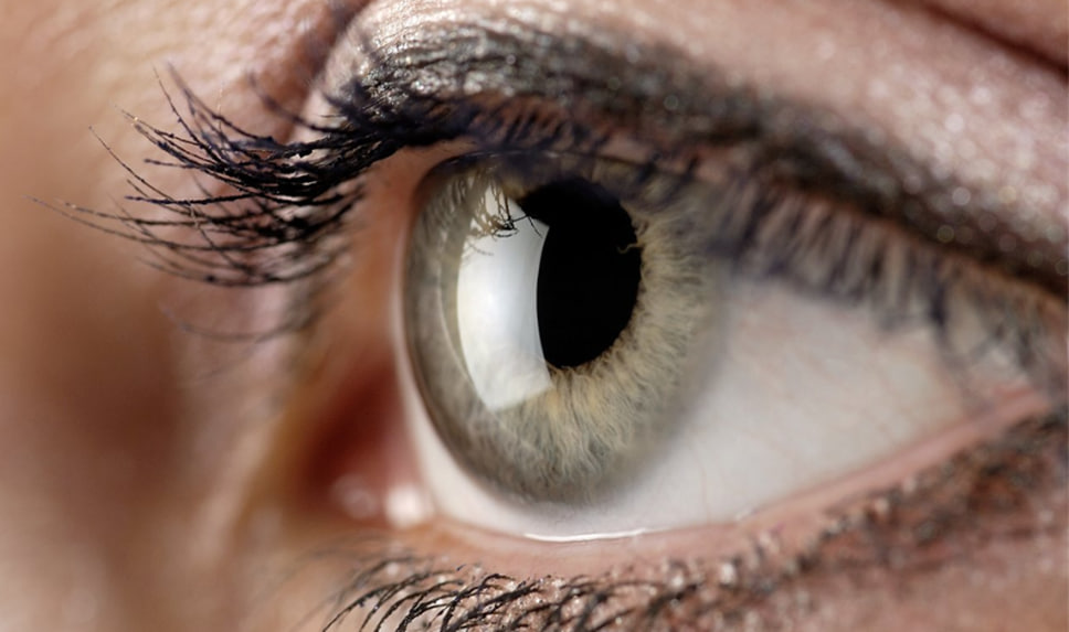 3D-биопечать в офтальмологии: как мировые исследования подтверждают потенциал аддитивных технологий